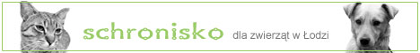 Schronisko dla zwierz�t w �odzi